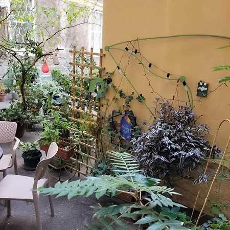 Apartment Secret Garden