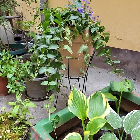 Secret Garden Zagreb